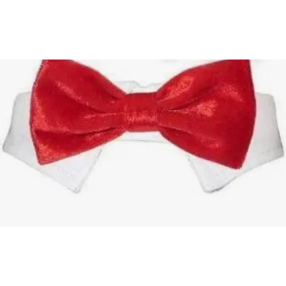 Pooch outfitters red Valentino bow tie